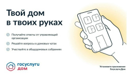 Госуслуги. Дом