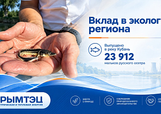 Вклад в экологию региона: АО «КРЫМТЭЦ» выпустило в реку Кубань порядка 24 тысяч мальков русского осетра